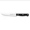 Uniblock Steak Knife (12 cm / 4.7 in), POM Handle – Stamped Stainless Steel – 3Claveles Spain – Front View