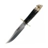 BUFFALO 16BF Knife (8.86 in), Brass and Deer Stag Horn Handle (Mo.Vanadium - 1.4116) – Muela Spain – Front View